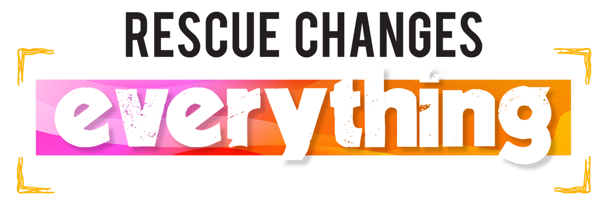 rescue changes everything logo